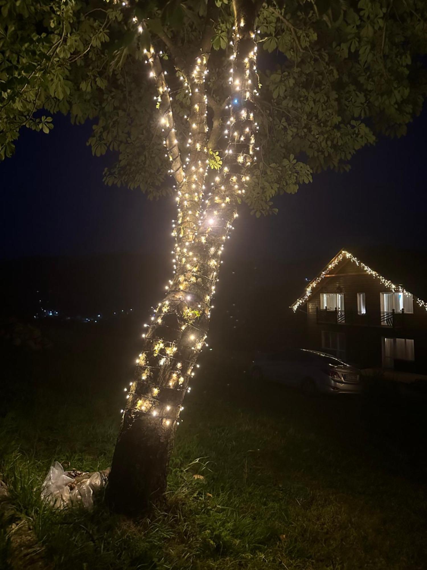 Мелодія Гір Вид На Гори Vorohta Exterior foto