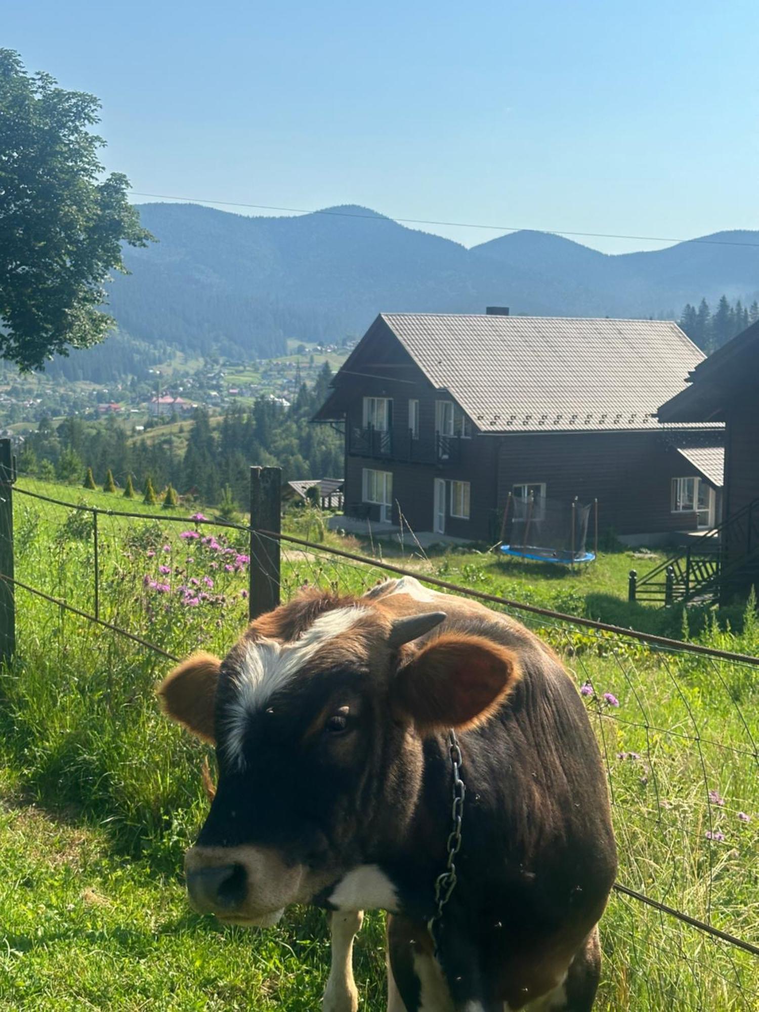 Мелодія Гір Вид На Гори Vorohta Exterior foto